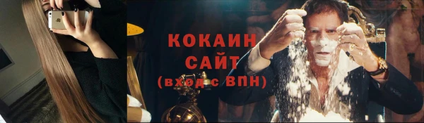 шишки Белоозёрский