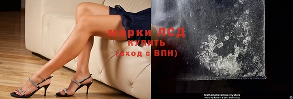 шишки Белоозёрский