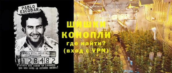 шишки Белоозёрский