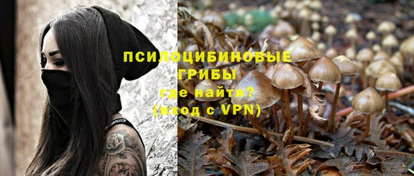 дурь Белокуриха