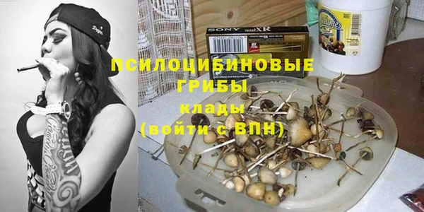 дурь Белокуриха
