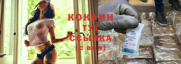 шишки Белоозёрский